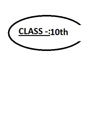 Question Paper (NCERT)