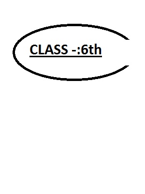Question Paper (NCERT)